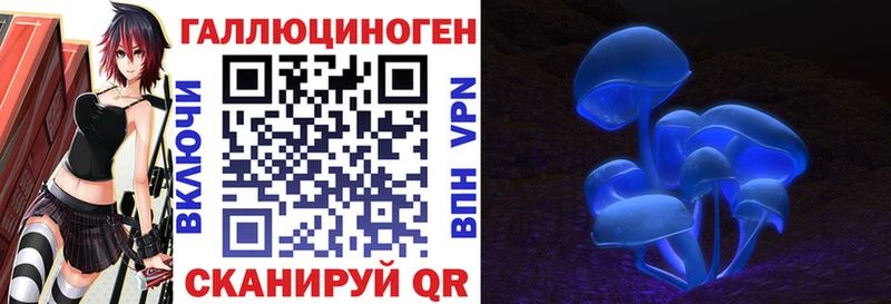 Галлюциногенные грибы Psilocybine cubensis  даркнет сайт  Киров 