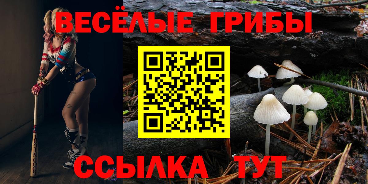 Псилоцибиновые грибы Magic Shrooms Киров